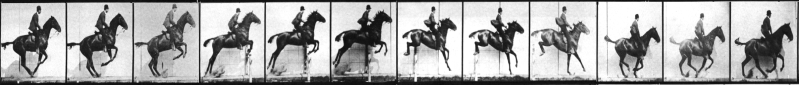 Muybridge-horse-frieze.png