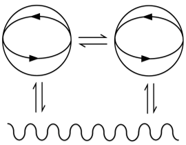 Structural Coupling 3