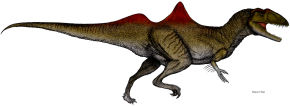 concavenator-corcovatus-1.png