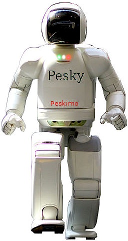 Asimo-robot.jpg