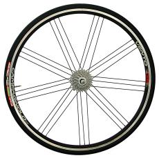 Laufrad-campa-vento-bicycle-wheel.jpg