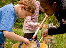 pines-calyx-children.jpg