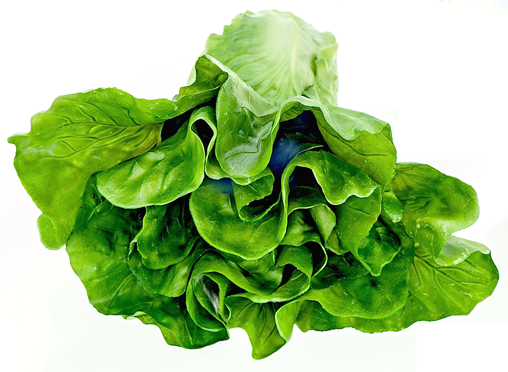 Lettuce