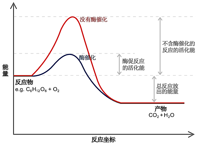 Catalysis