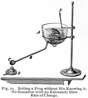 Boiling Frog