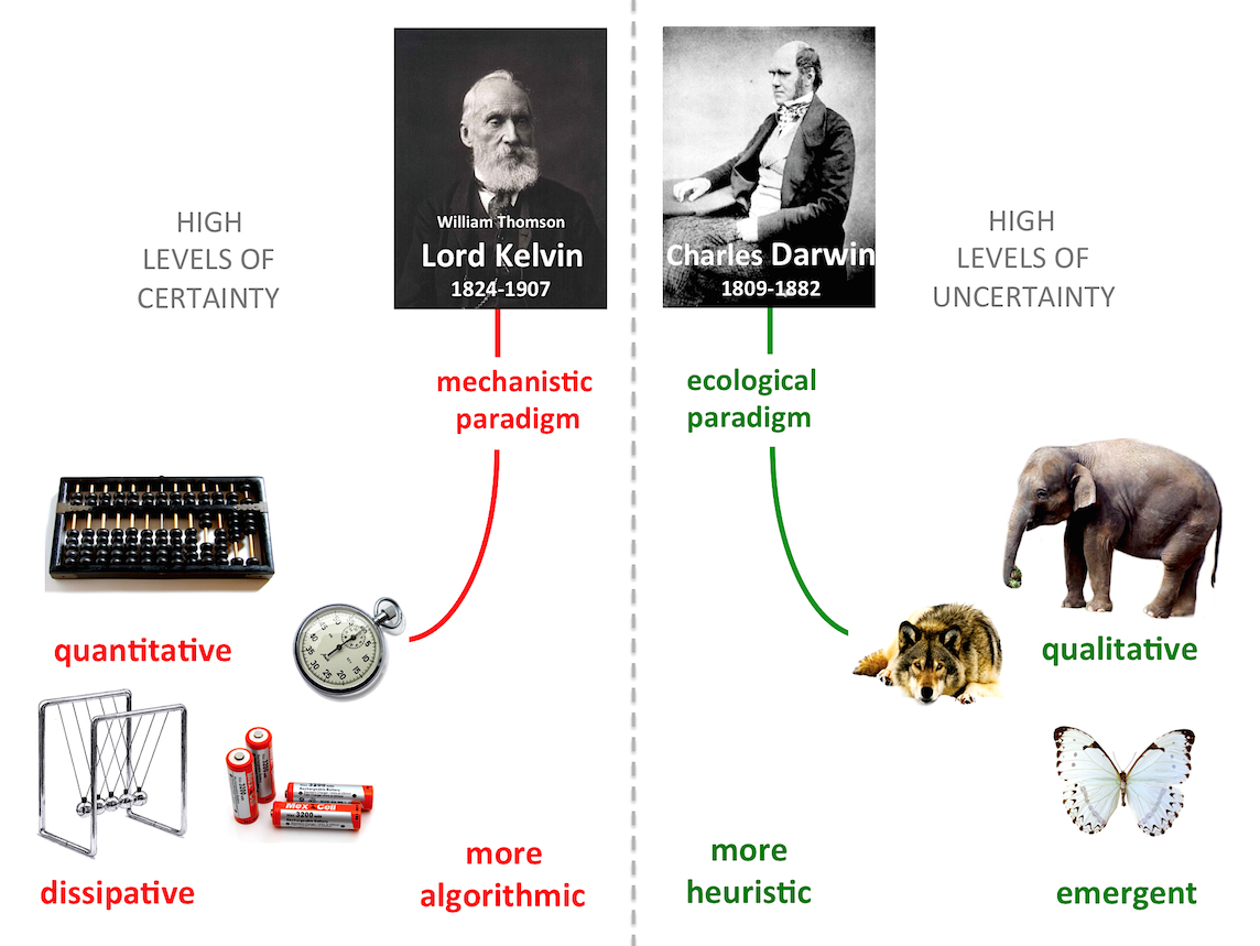 Living Systems Diagram JW 2017