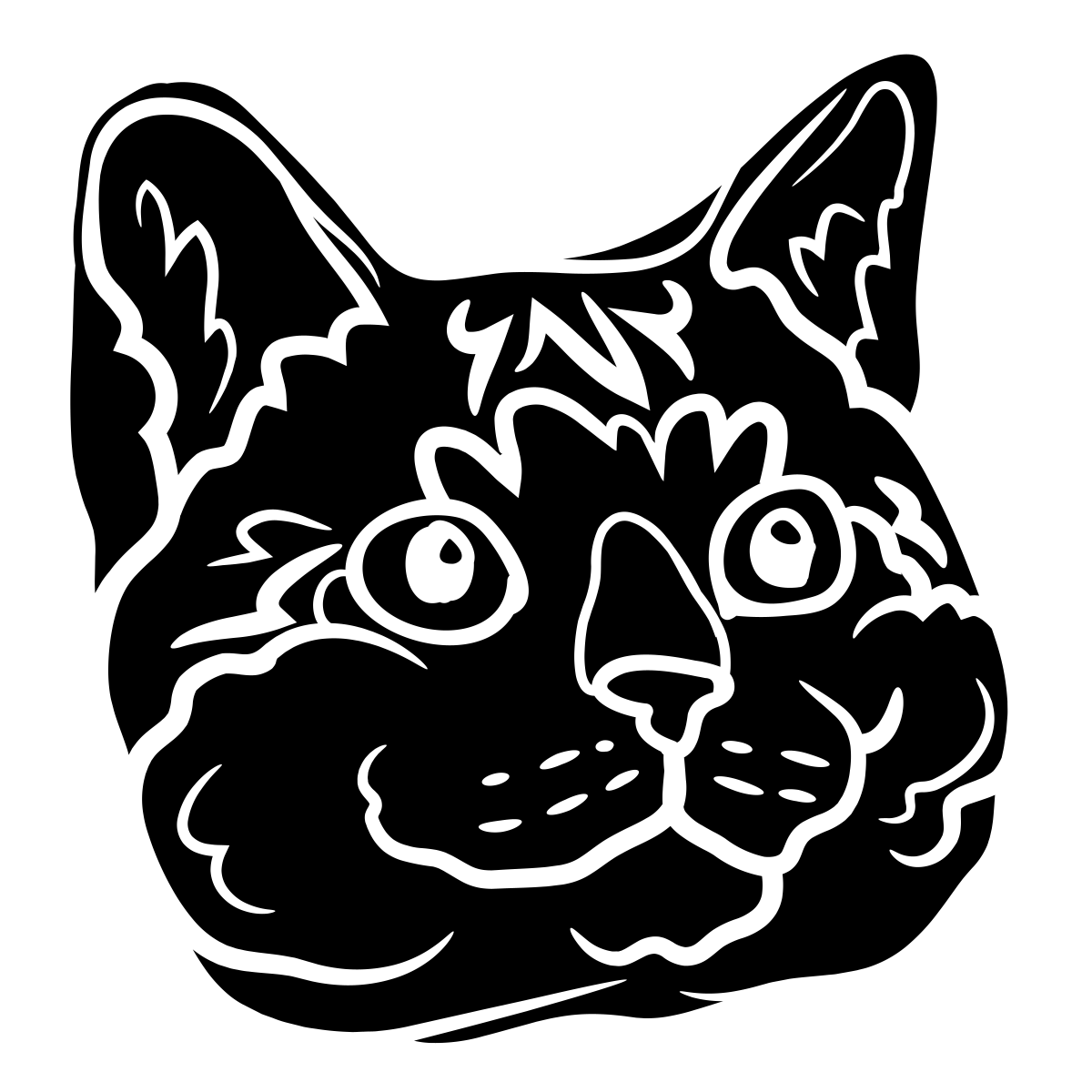 Noun Cat 3563503