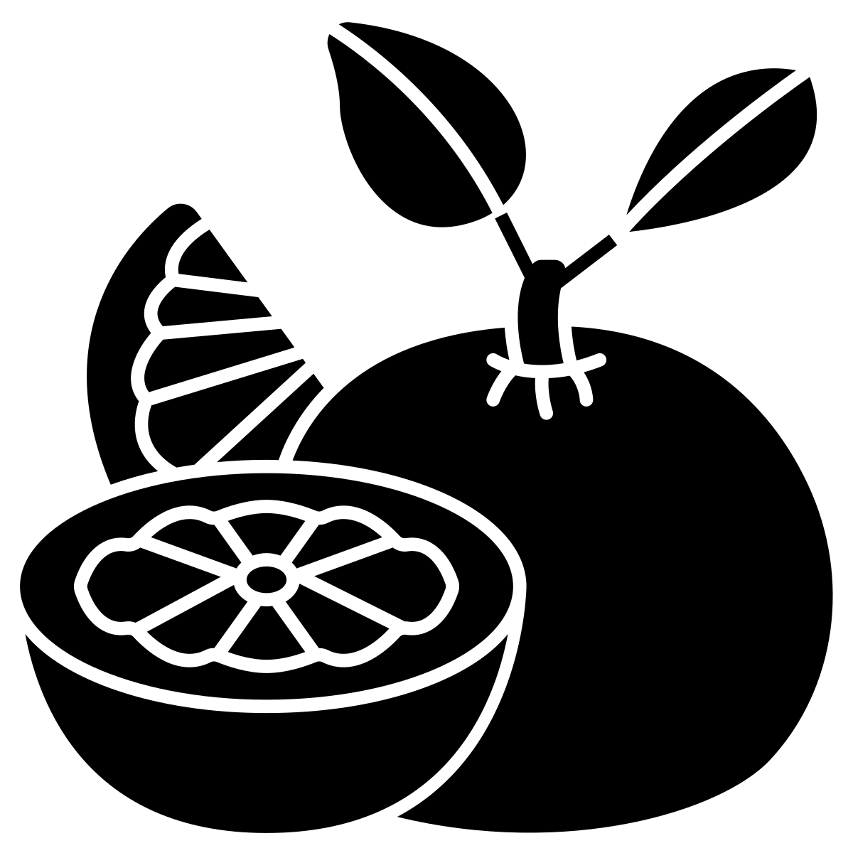 Noun Grapefruit 5139614