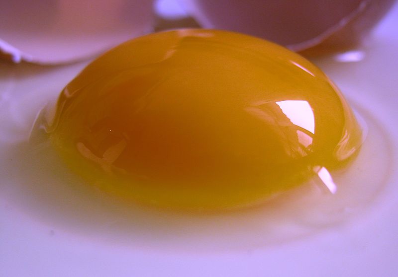 raw_egg_wikiP.jpg