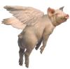 pig-flying1.jpg