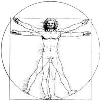 Vitruvian_man.jpeg